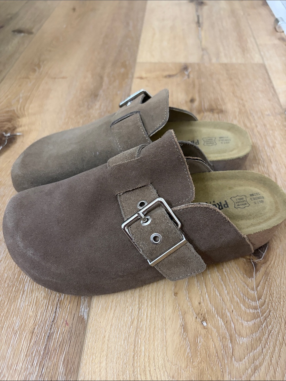 Suede Mule Clogs with Buckle in Brown